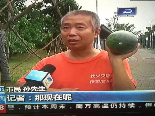 朝阳吃瓜群众 热点吃瓜,揭秘热点吃瓜背后的故事