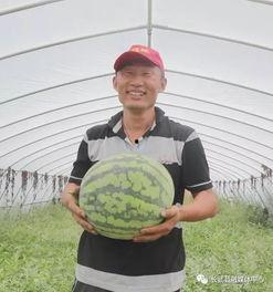 朝阳吃瓜群众 热点吃瓜,揭秘热点吃瓜背后的故事