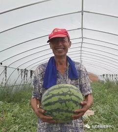 朝阳吃瓜群众 热点吃瓜,揭秘热点吃瓜背后的故事